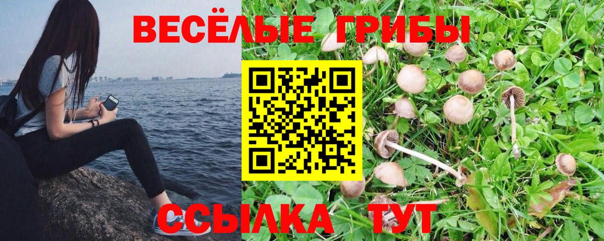 даркнет сайт  Галлюциногенные грибы мухоморы  Самара  Вход с VPN  Псилоцибиновые грибы прущие грибы 