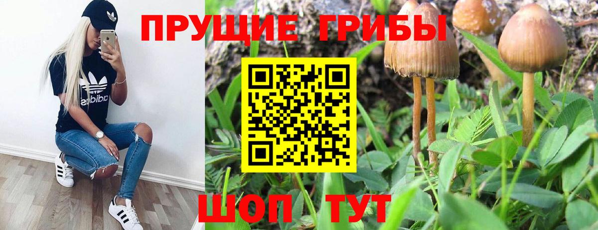 Псилоцибиновые грибы ЛСД Самара